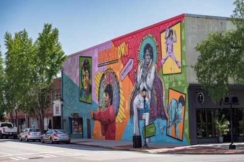 James Brown mural in Augusta, Georgia