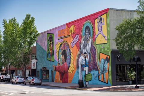 James Brown mural in Augusta, Georgia