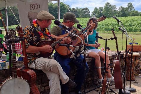 Musicians performing at the Georgia Wine Country Festival