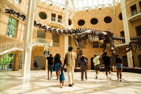 Family in the atrium with dinosaur fossils at Fernbank Museum of Natural History in Atlanta, Georgia