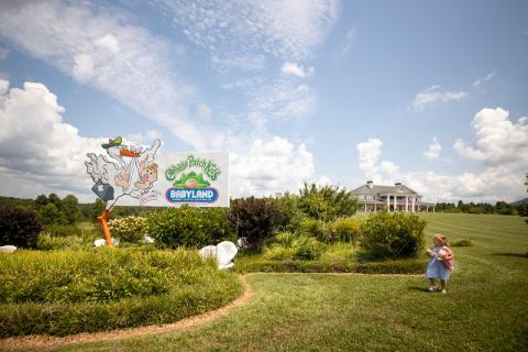 BabyLand General Hospital in Cleveland, Georgia