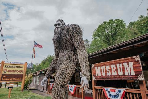 Expedition: Bigfoot in Cherry Log, a roadside attraction in Georgia