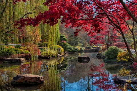 Fall color at Gibbs Gardens in Ball Ground, Georgia