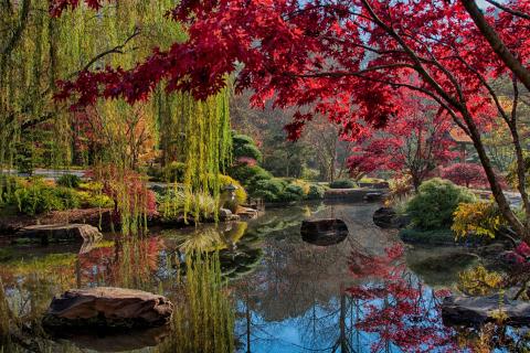 Fall color at Gibbs Gardens in Ball Ground, Georgia