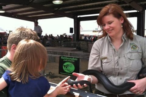 Claxton Rattlesnake & Wildlife Festival
