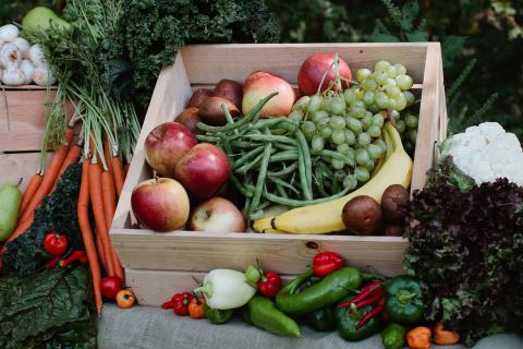 Fresh Harvest Atlanta - Fresh Harvest