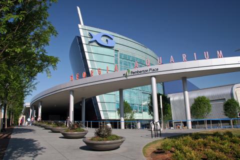Georgia Aquarium in Atlanta