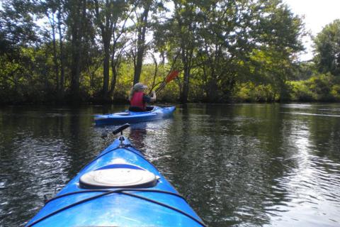 Kayaking the Canal