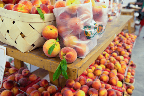 Mercier Orchards