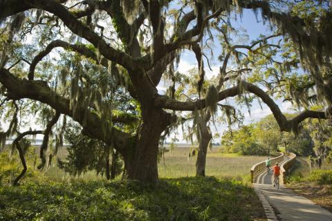 Biking on Jekyll Island, Georgia