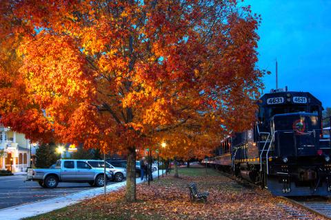 A scenic train sits on the tracks alongside colorful fall foliage