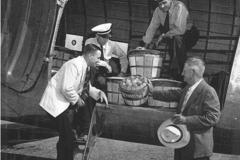 The first peaches shipped by airline at Dickey Farms in Musella, Georgia