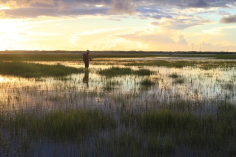 Clint McNeal fishing in the Georgia salt marsh at sunset
