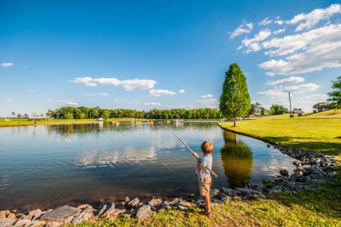 fishing