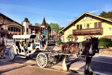 Horse-drawn carriage ride in Helen, Georgia