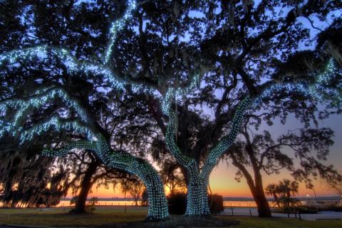 Holiday lights on Jekyll Island, Georgia