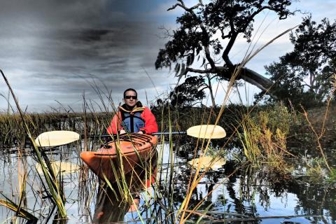 Kayak to Little Tybee Island, Georgia, with Savannah Canoe and Kayak