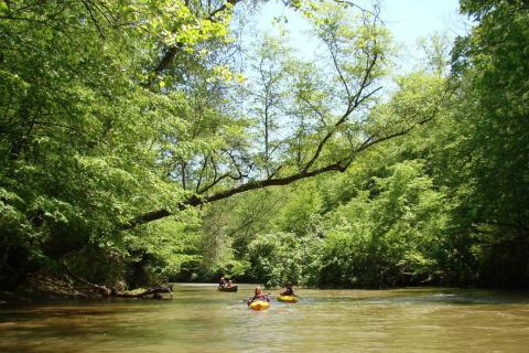Kayaking on the Etowah River in the Dawson Forest with Appalachian Outfitters from Dahlonega, Georgia