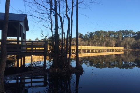 Boardwalk at Laura S. Walker State Park in Waycross, Georgia