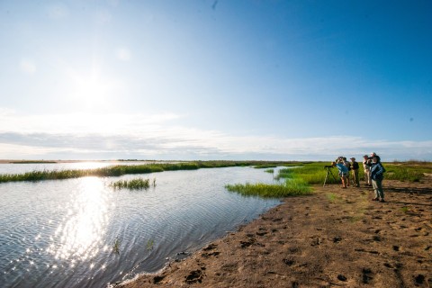 Bird watching on Little St. Simons Island, Georgia