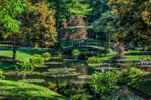 Monet Bridge at Gibbs Gardens