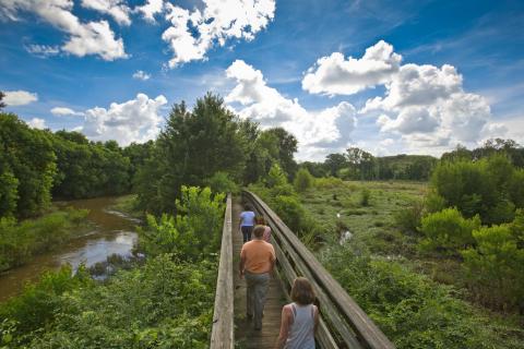A family walks along a boardwalk surrounded by greenery