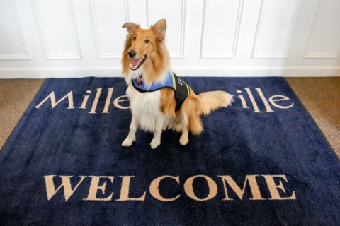 A brown and white dog sits on a blue welcome mat in Milledgeville, Georgia