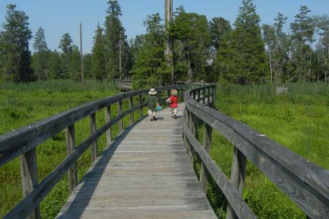 Phinizy Swamp Nature Park in Augusta, Georgia