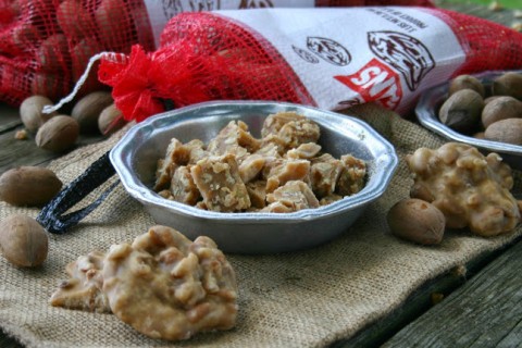 Pralines from Ellis Brothers Pecans in Vienna, Georgia