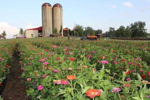 Southern Belle Farm in McDonough, Georgia