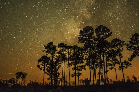 Stargaze at Stephen C. Foster State Park