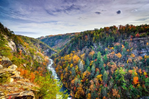 Fall foliage at Tallulah Gorge State Park in Tallulah Falls, Georgia