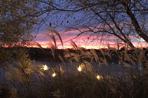 View from 11th & Bay's Porch Overlooking the Chattahoochee River