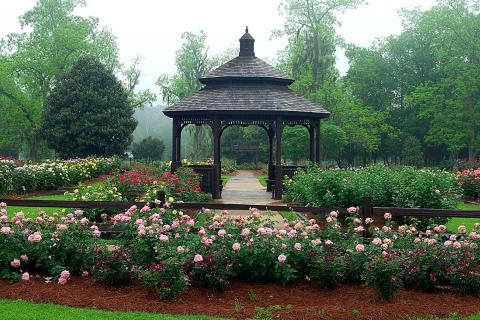 Thomasville Rose Garden
