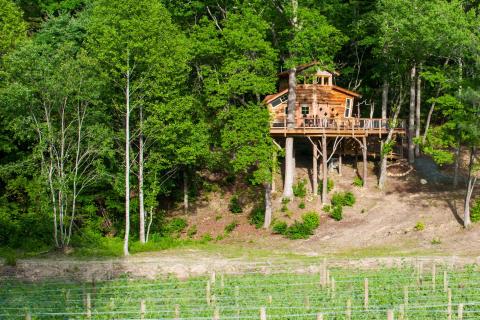 Blue Ridge Treehouse at Bear Claw Vineyards in Blue Ridge, Georgia