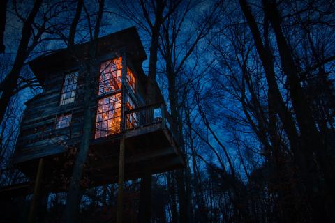 A treetop house lit up at night against a dark sky