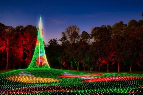 Magical field of lights at Fantasy in Lights at Callaway Resort & Gardens in Pine Mountain, Georgia