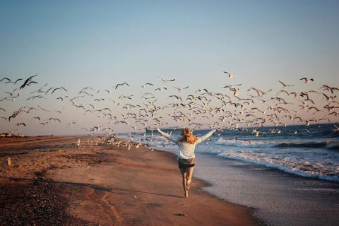 Woman chasing flock of birds on Tybee Island, Georgia
