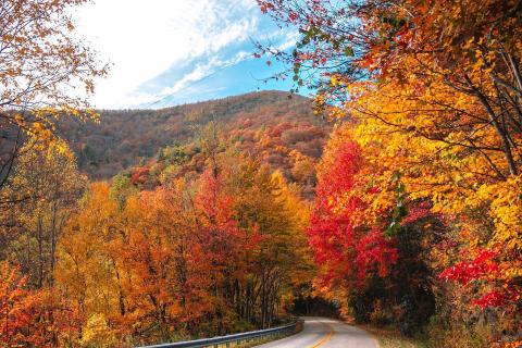 Road to Brasstown Bald in Hiawassee, Georgia. Photo by @jerrito1