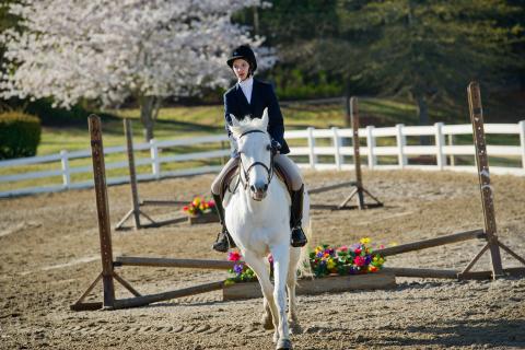 Wills Park Equestrian Center in Alpharetta, Georgia
