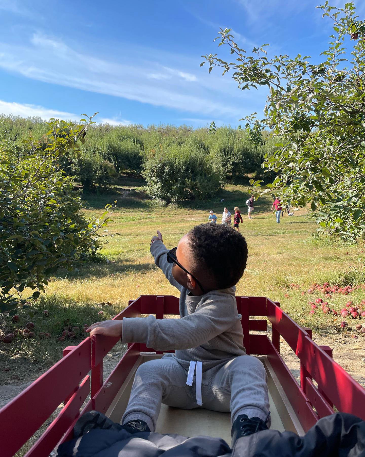 Toddler in a wagon at B.J. Reece Orchards in Ellijay, Georgia