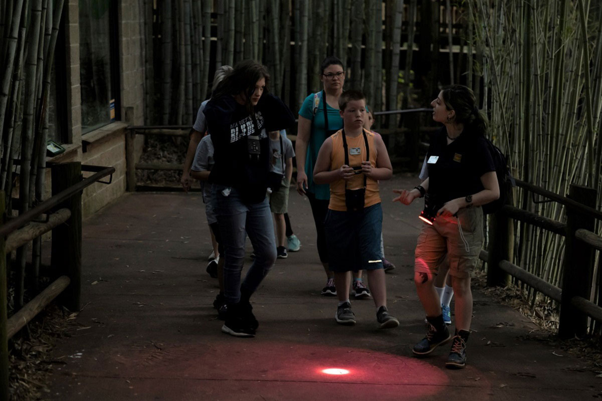 Guests touring Zoo Atlanta at night