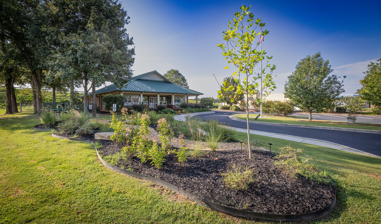 Grassy area and trees in front of the Dublin Visitors Center