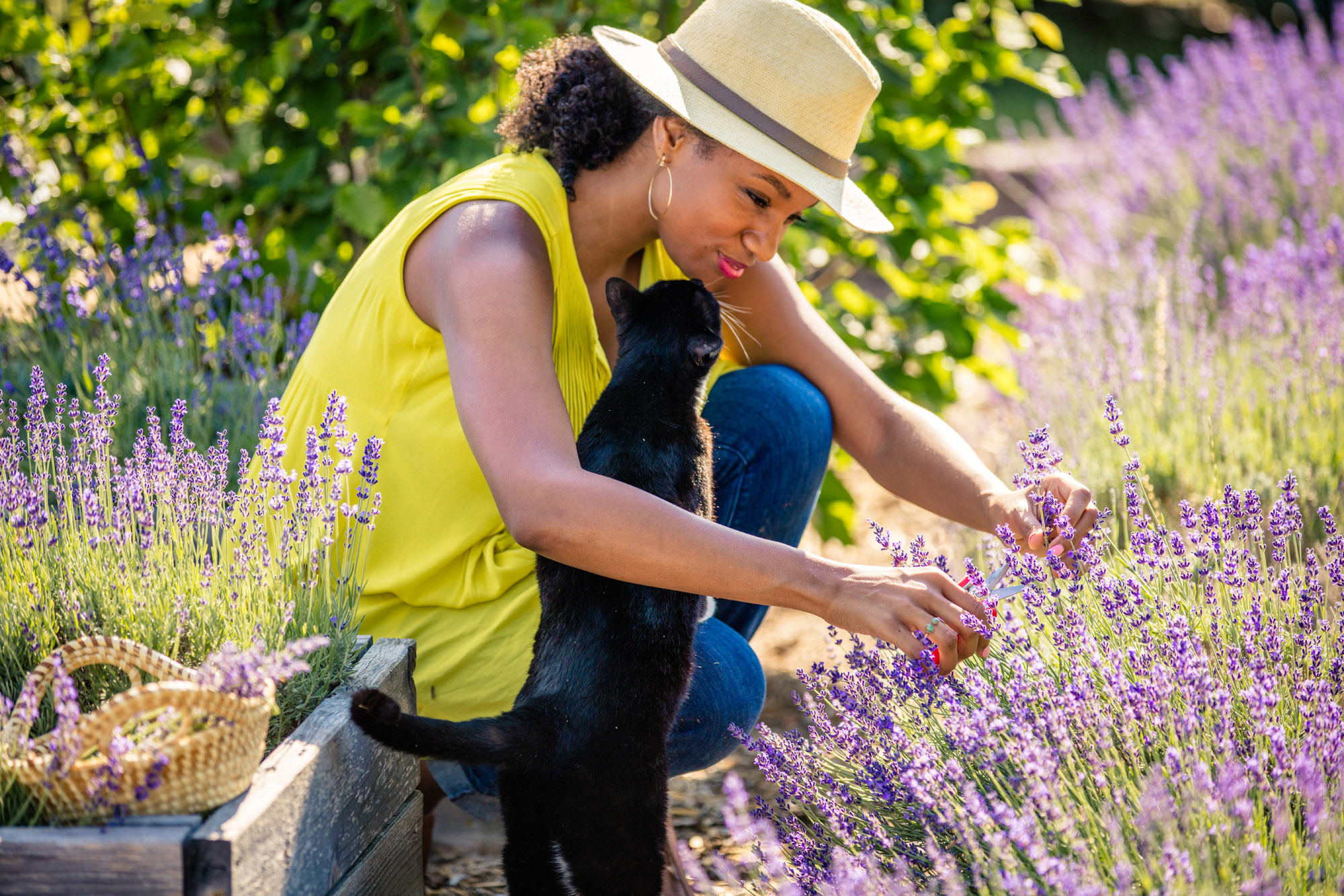 White Hills Lavender & Herb Farm in Dearing, Georgia