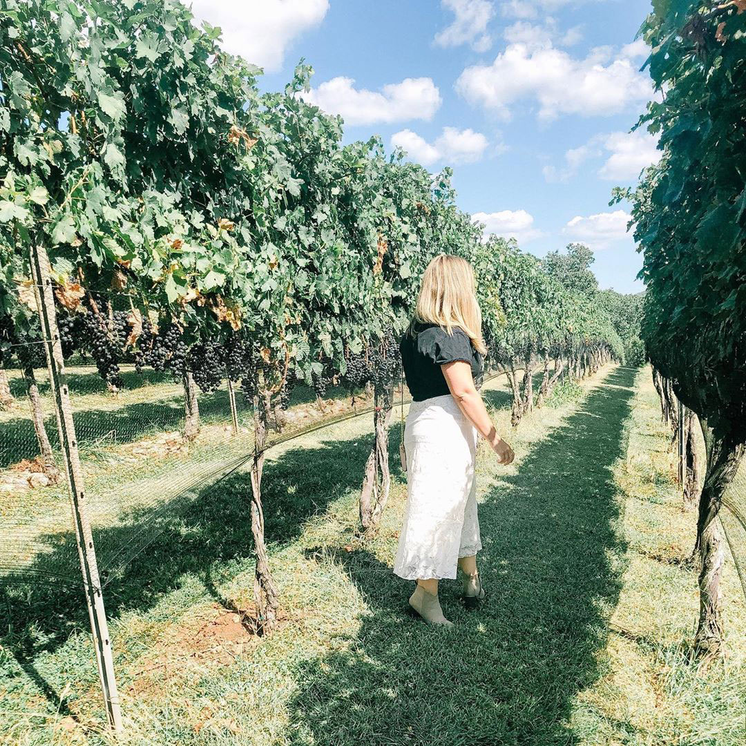 Wolf Mountain Vineyards in Dahlonega, Georgia. Photo by @katie_barber